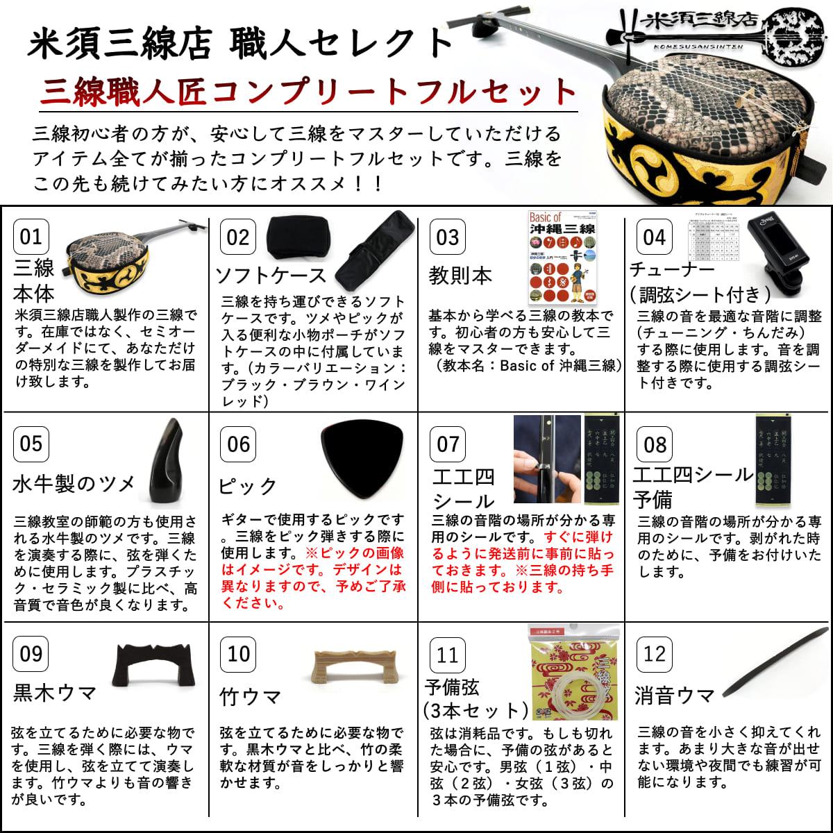 ペグ仕様 真壁型黒塗り 本蛇皮一枚張り三線 – 米須三線店